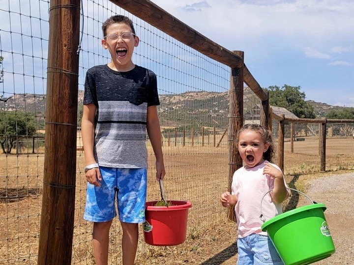 Family VIP Membership (2 adult, 2 children)