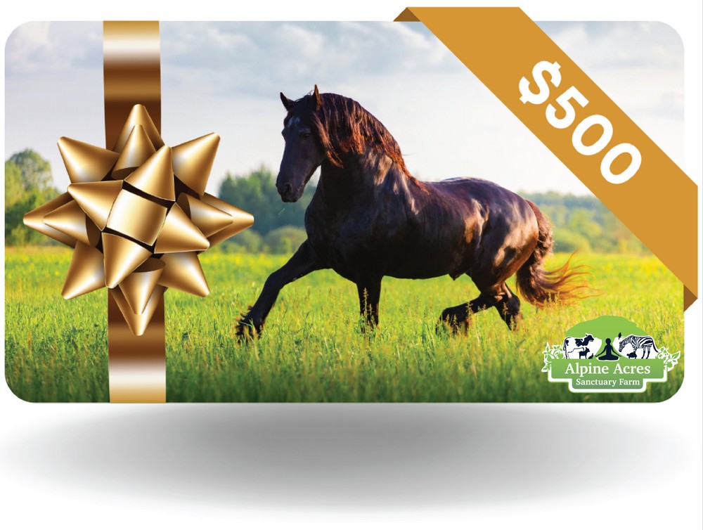 Gift Certificate (1)