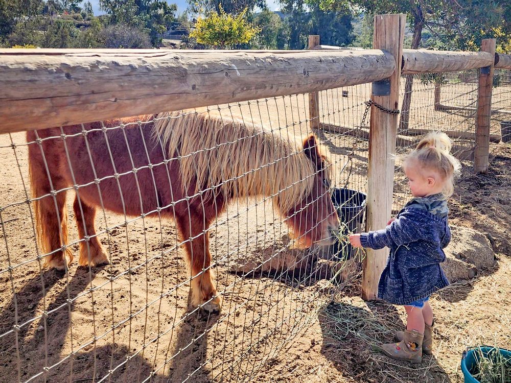 The San Diego Animal Sanctuary and Farm™