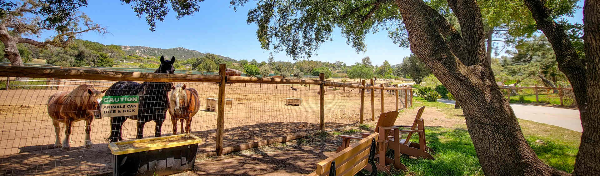 Contact Us - Alpine Acres Sanctuary Farm®