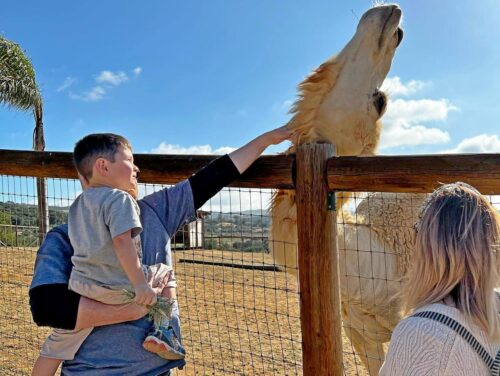 Single Day Pass – Adult (ages 13 & older)