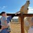Single Day Pass – Adult (ages 13 & older)