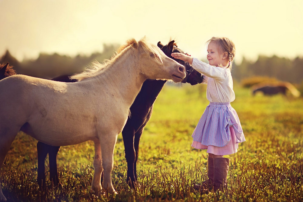 How Animal Interactions Can Help Children Learn Better