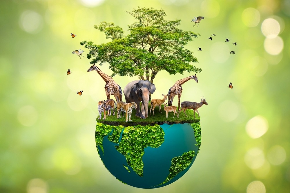 The Impact of Animal Sanctuaries on Wildlife Conservation