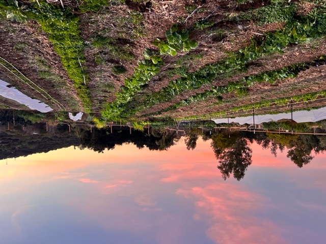 The Children’s Nature Retreat Foundation