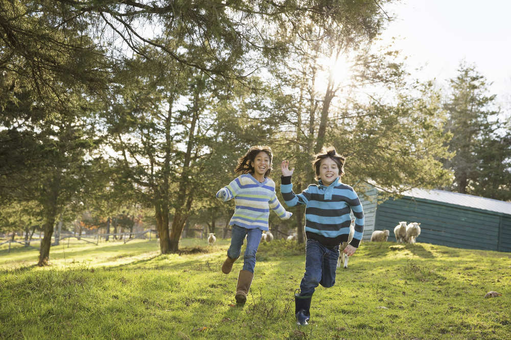 Springtime Family Adventures Creating Lasting Memories at an Animal Sanctuary