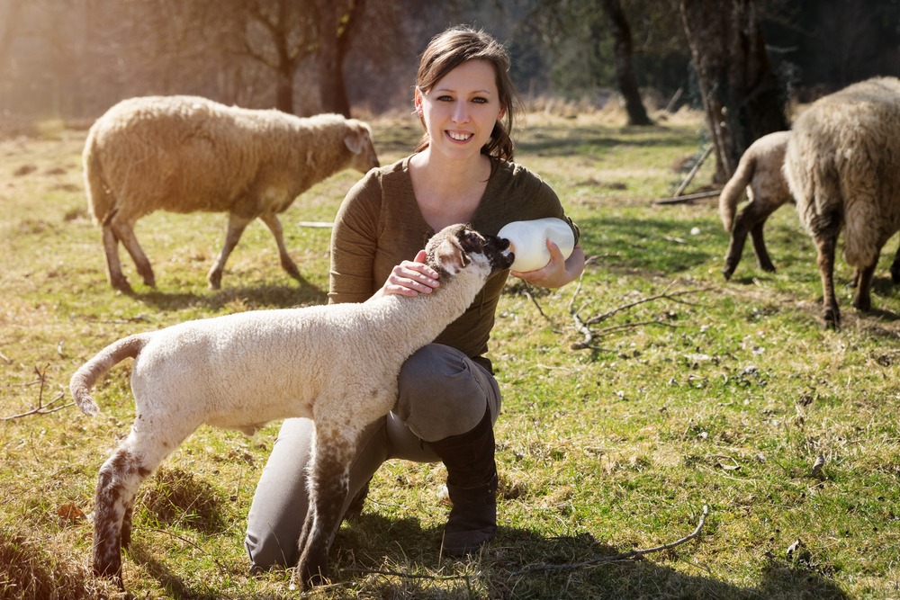 Springtime Serenity: Why Visiting an Animal Sanctuary is Perfect for the Season
