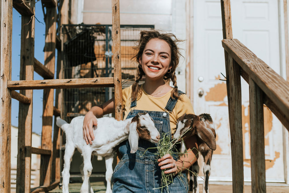 Top 5 Learning Opportunities for Visitors at Animal Sanctuaries