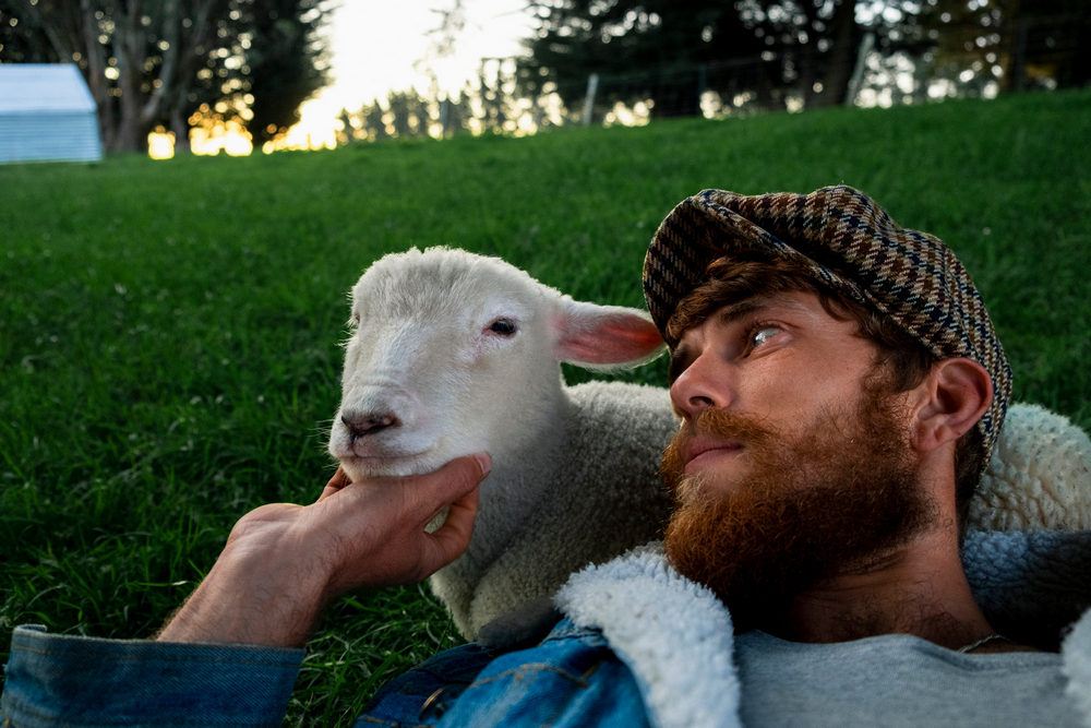 Healing Hearts: The Therapeutic Benefits of Visiting an Animal Sanctuary
