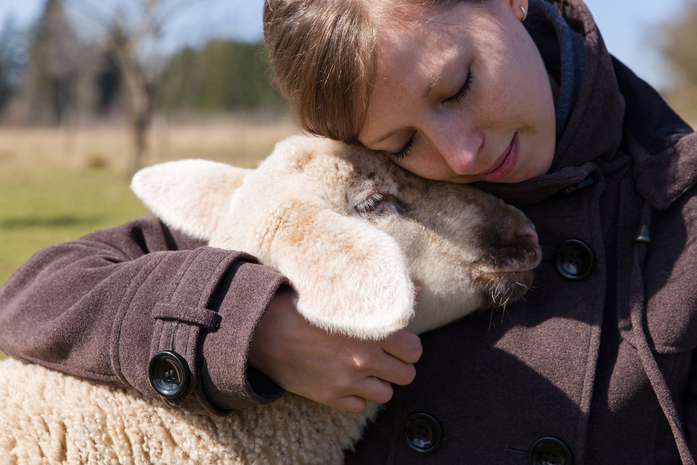 The Unique Bonding Experience of Visiting an Animal Sanctuary