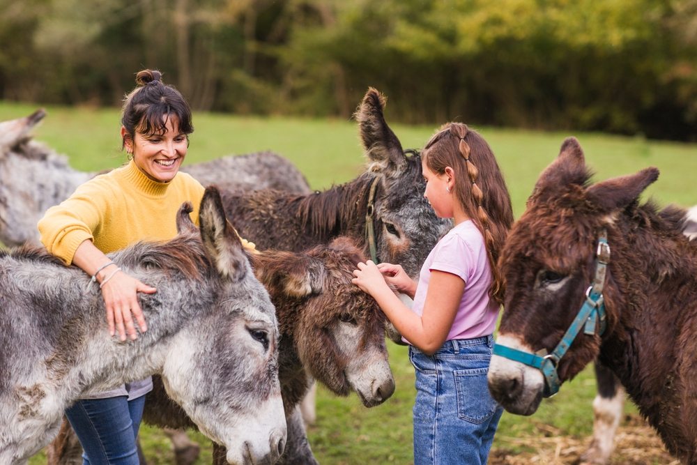 The Joy of Spending Quality Time with Family at an Animal Sanctuary