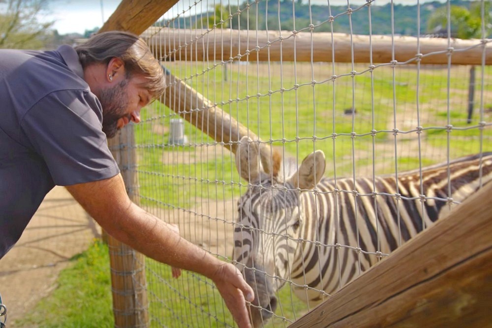 Why Animal Sanctuaries Are Essential for Animal Welfare and Conservation