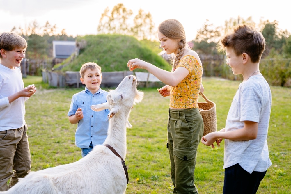 How Hosting School Field Trips Enriches Children Through Animal Interaction