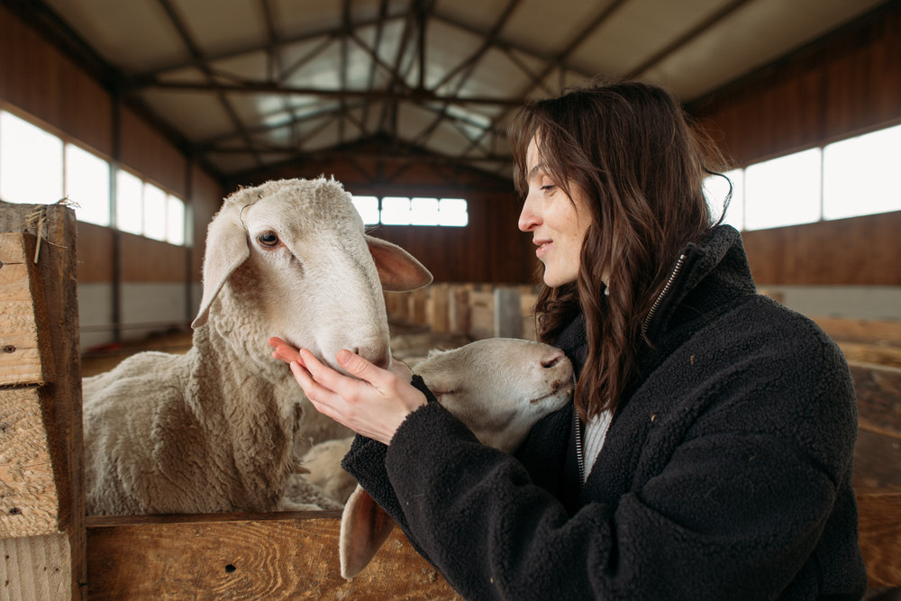 Signs You Should Sponsor an Animal to Support Their Lifetime Care