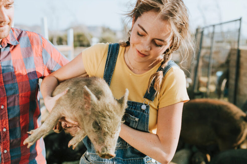 Benefits of Volunteering at a Farm Sanctuary for Mental Health