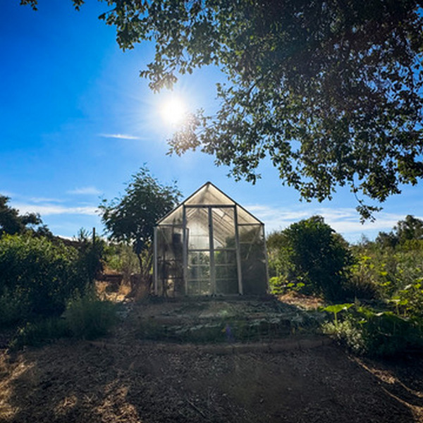 Biological Garden (3)