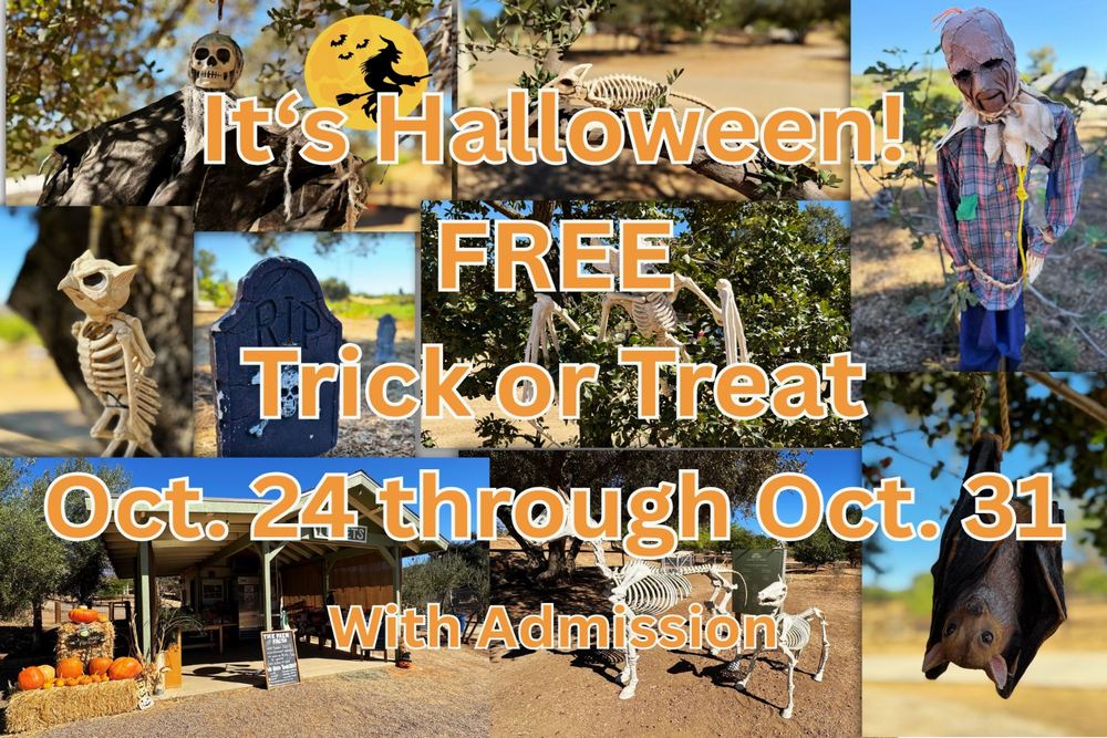 Edible Pumpkins and Halloween Fun: Celebrate Trick-or-Treat Week at the Farm!