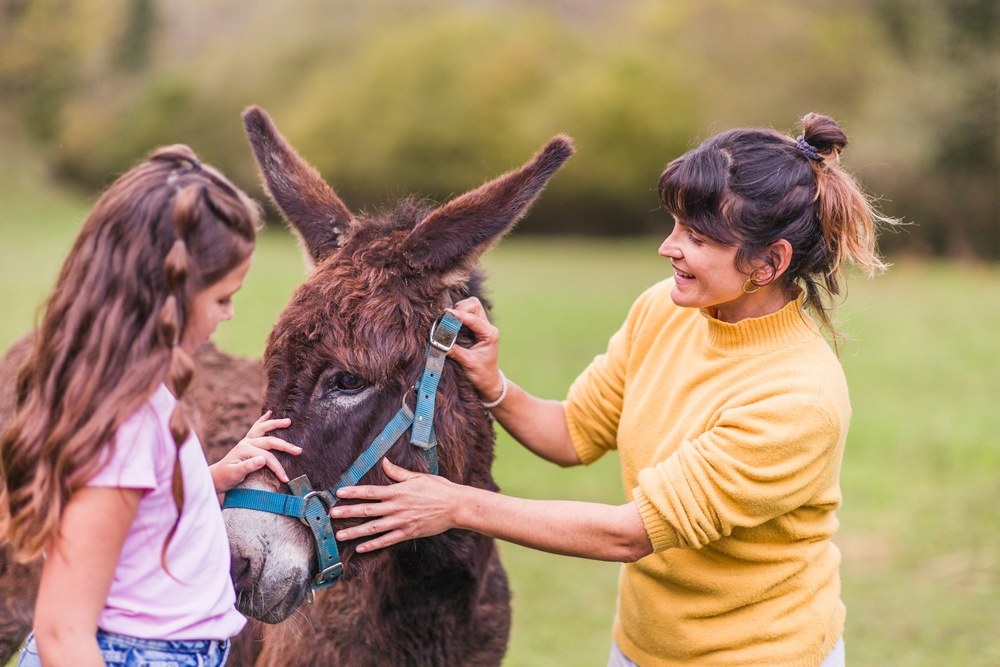 When to Plan a Visit to Maximize Animal Interaction Experiences