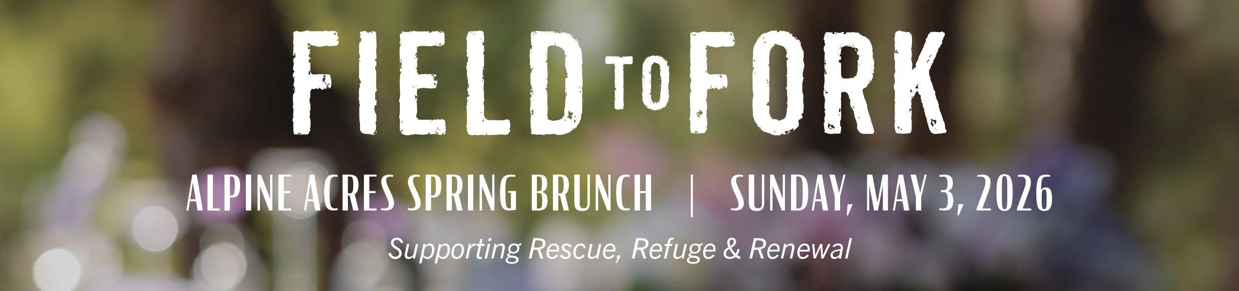 CNR Gala header 2026_020