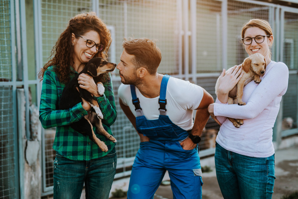 When You Should Consider Volunteering at an Animal Sanctuary for Meaningful Impact