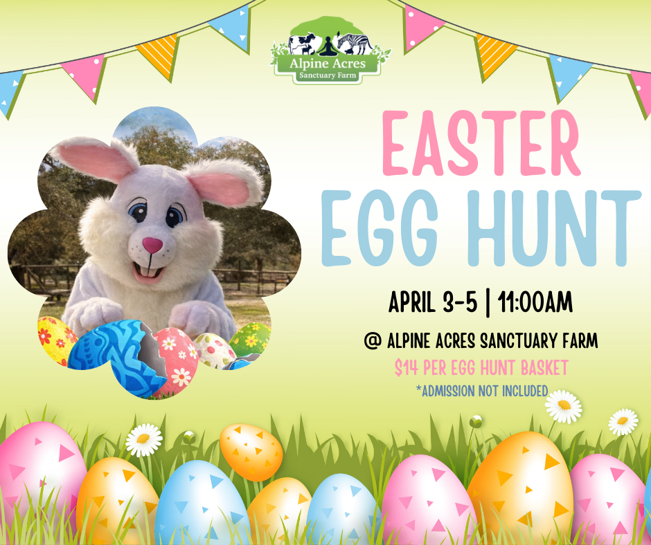 Alpine Acres Easter Popup 2026