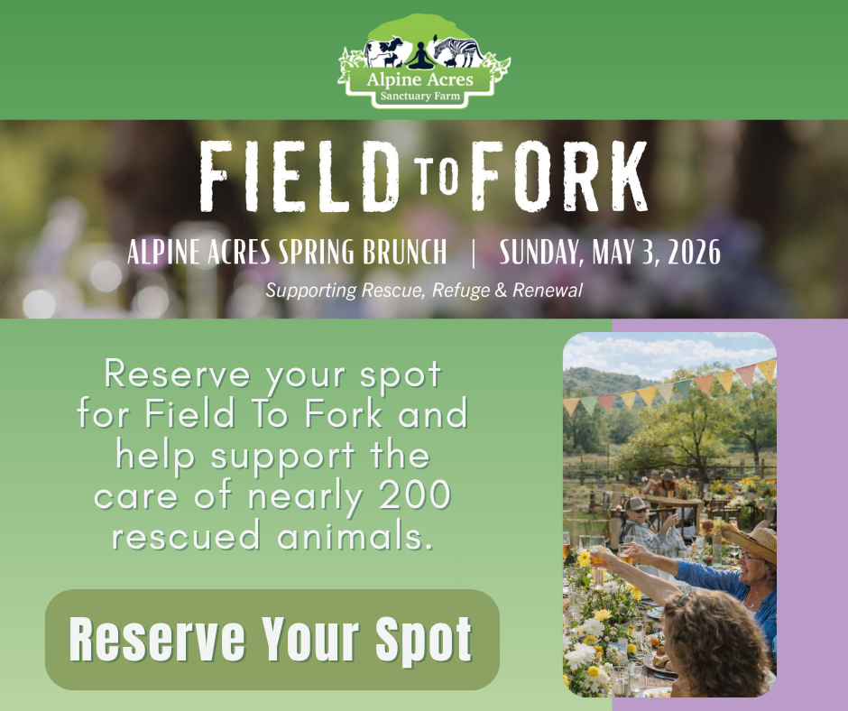 Field to Fork Gala Pop-Up