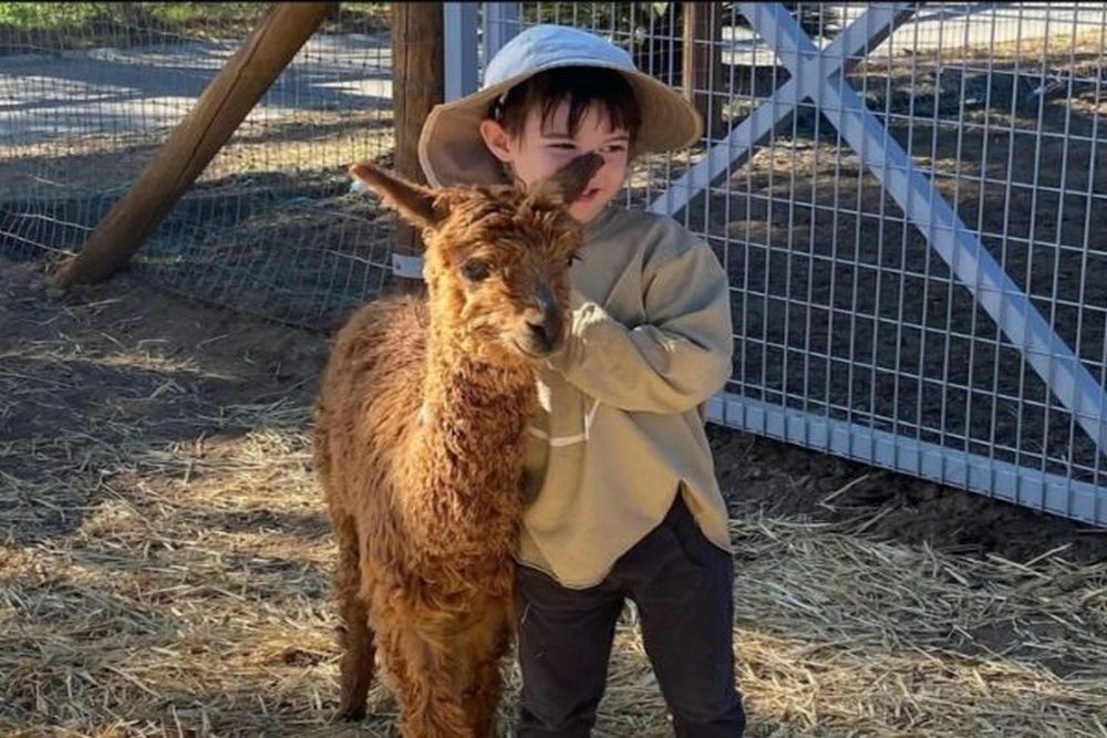 How Visiting an Animal Sanctuary Helps Families Connect With Nature and Rescued Animals