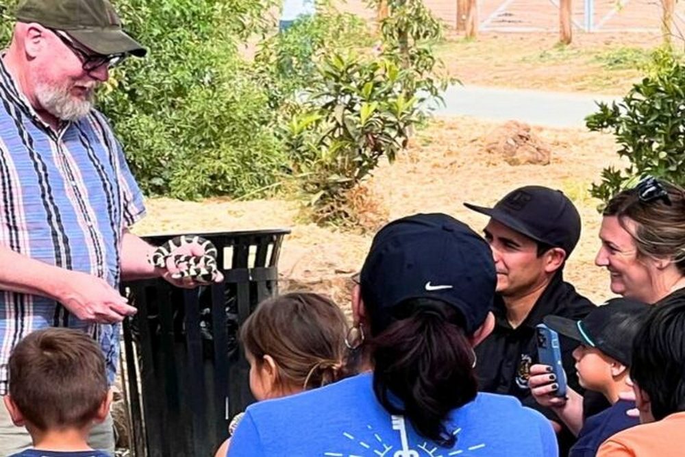 When to Plan a Farm Visit for a Fun and Educational Family Experience