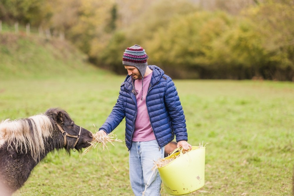 How Animal Sanctuaries Give Rescued Farm Animals a Second Chance at Life
