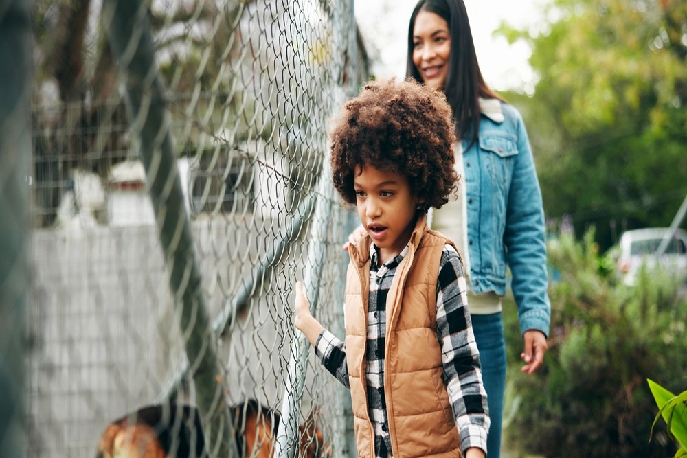 Why Visiting a Farm Animal Sanctuary Can Teach Children Compassion and Responsible Animal Care